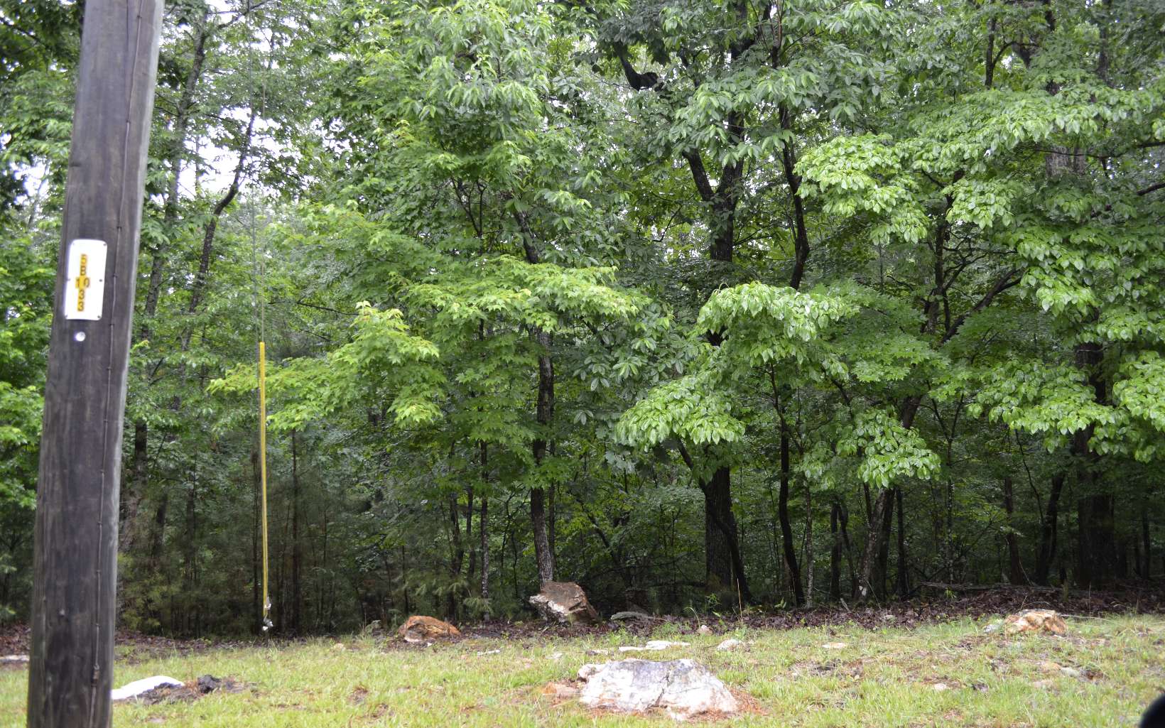 L820 Colgate Court Ellijay, GA 30540 - Photo 2 of 4 Additional View