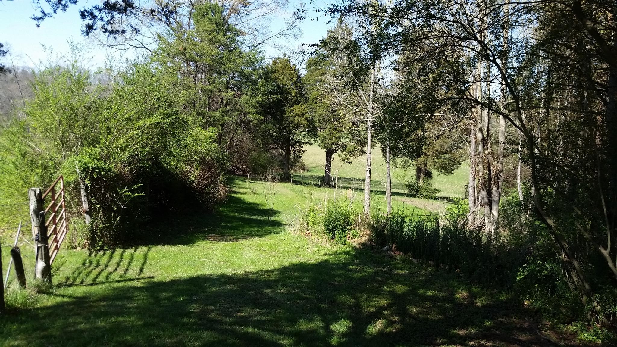 5735 Perry Road Knoxville, TN 37914 - Photo 33 of 40 Gallery Image 33