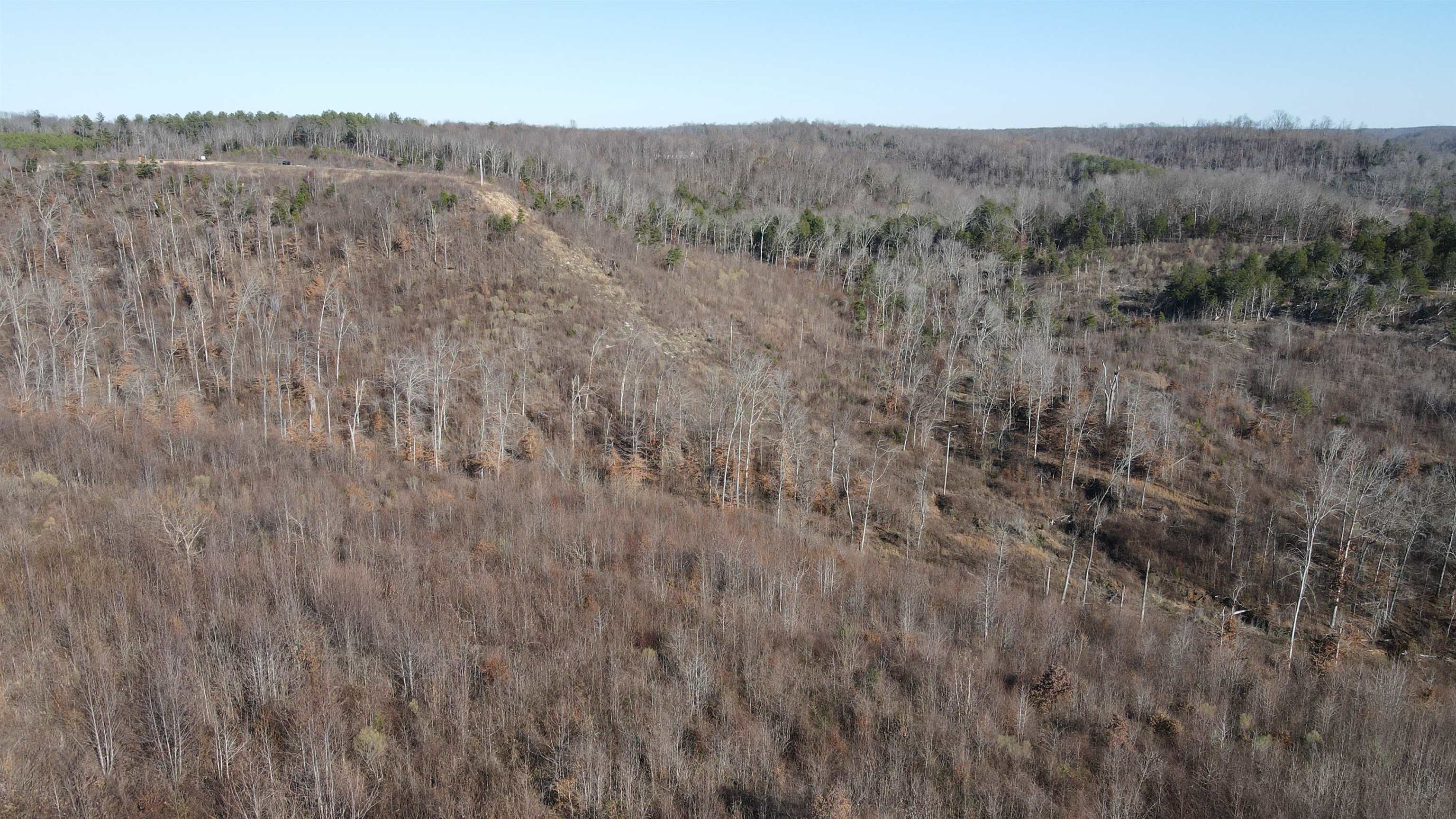 1 Whiteoak Road West Linden, TN 37096 - Photo 16 of 28 Aerial overview of property's location featuring a forest