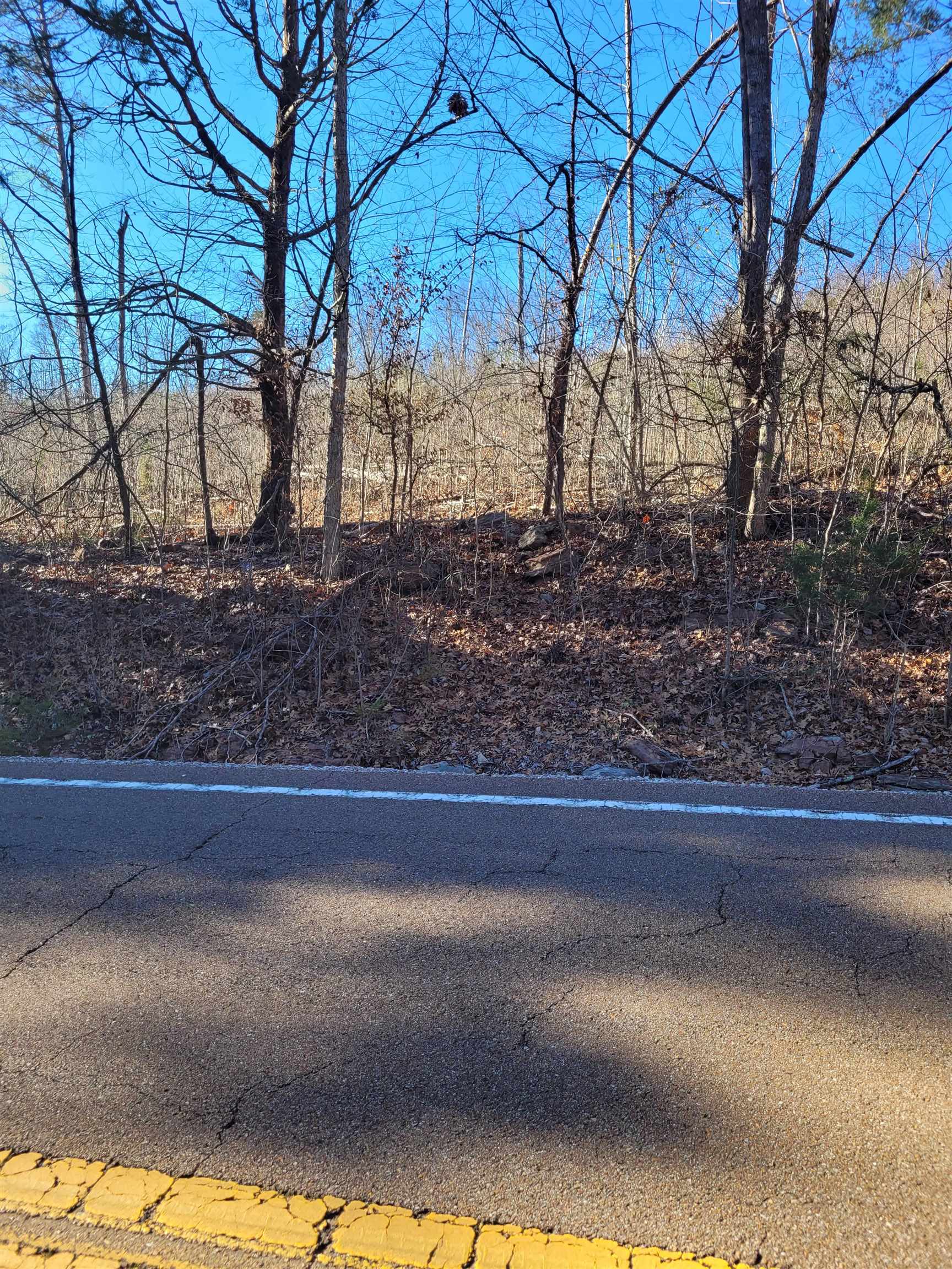 1 Whiteoak Road West Linden, TN 37096 - Photo 17 of 28 View of asphalt street