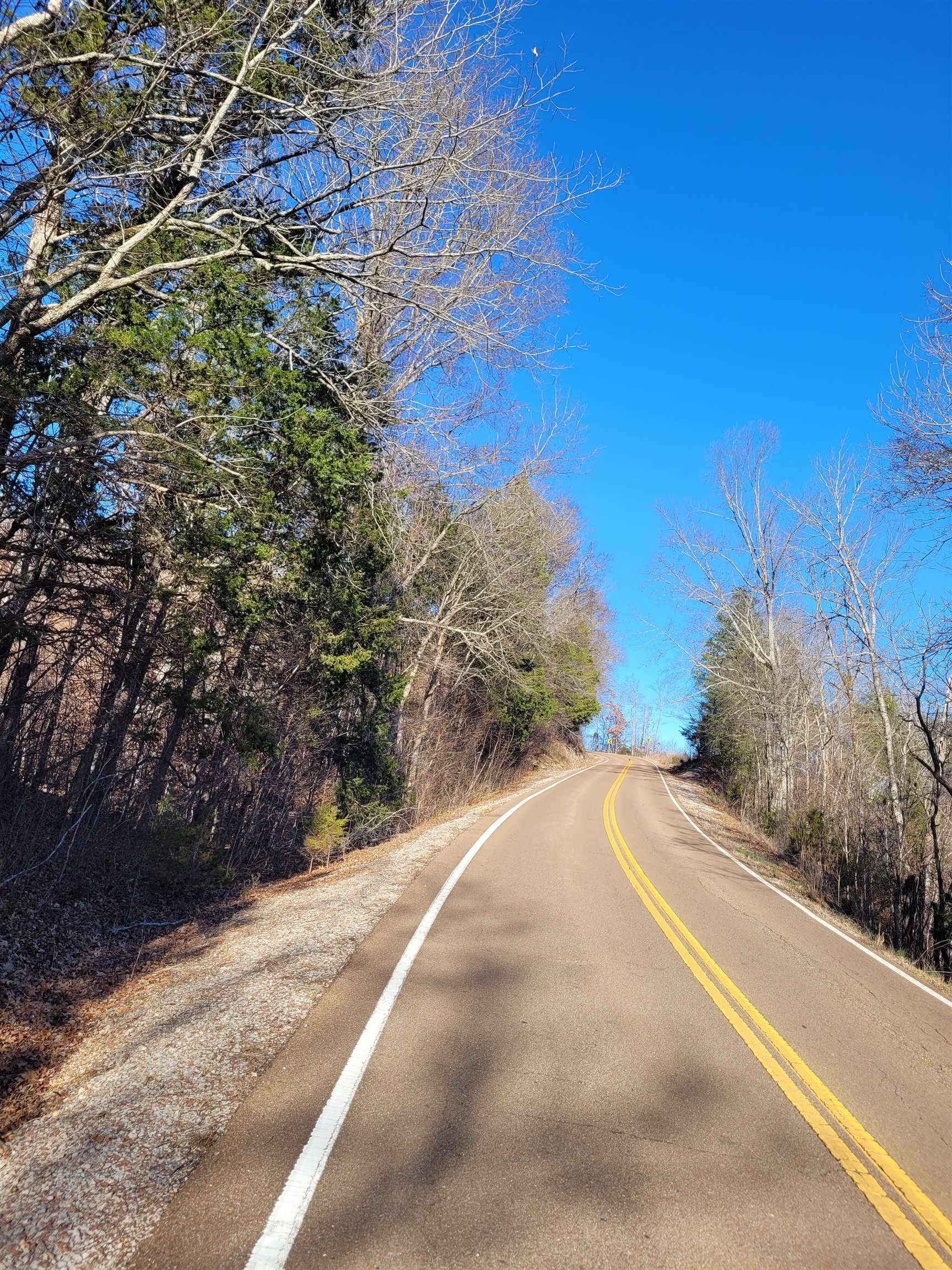 1 Whiteoak Road West Linden, TN 37096 - Photo 19 of 28 View of asphalt road