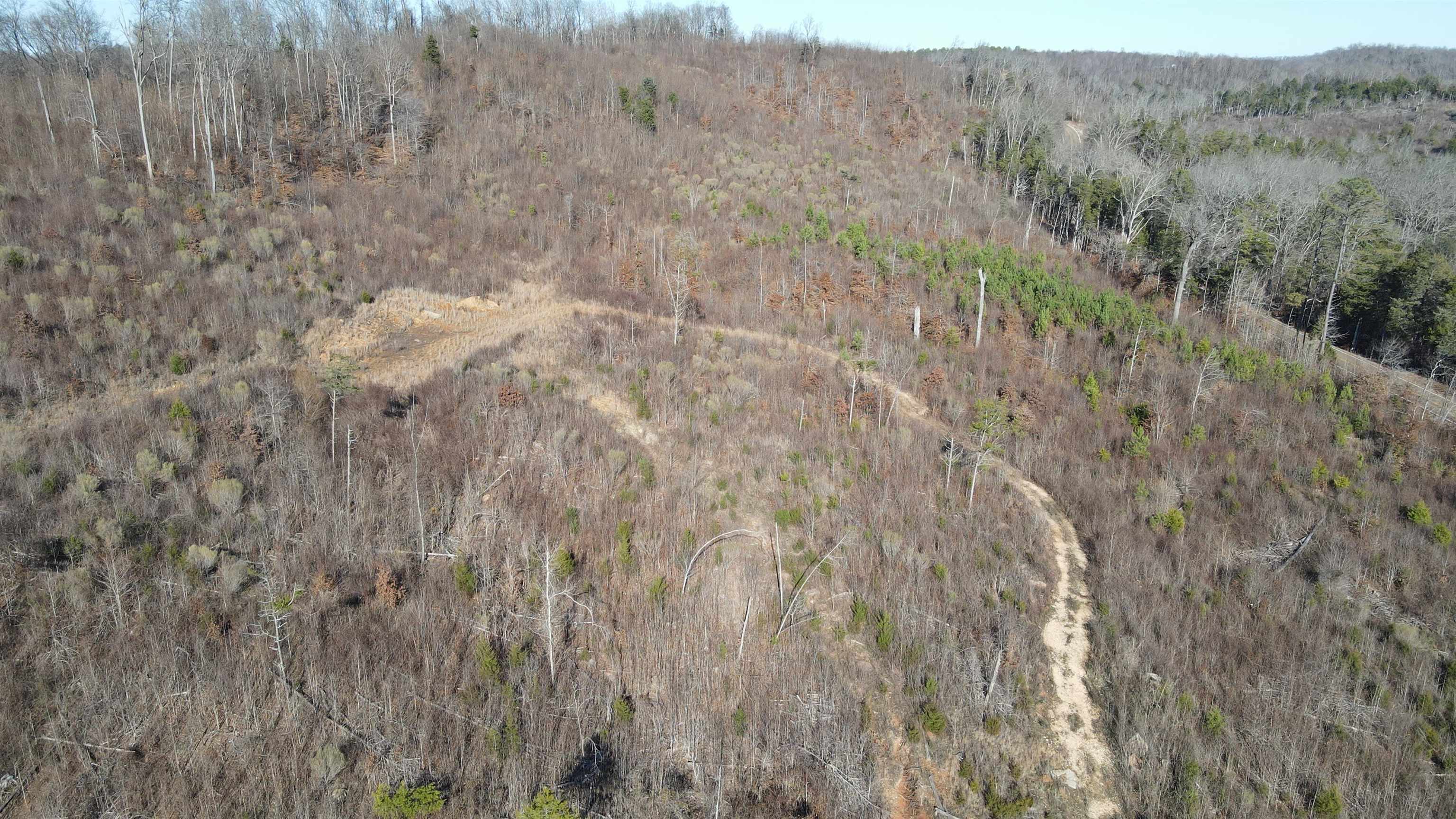 1 Whiteoak Road West Linden, TN 37096 - Photo 23 of 28 Aerial overview of property's location featuring a forest
