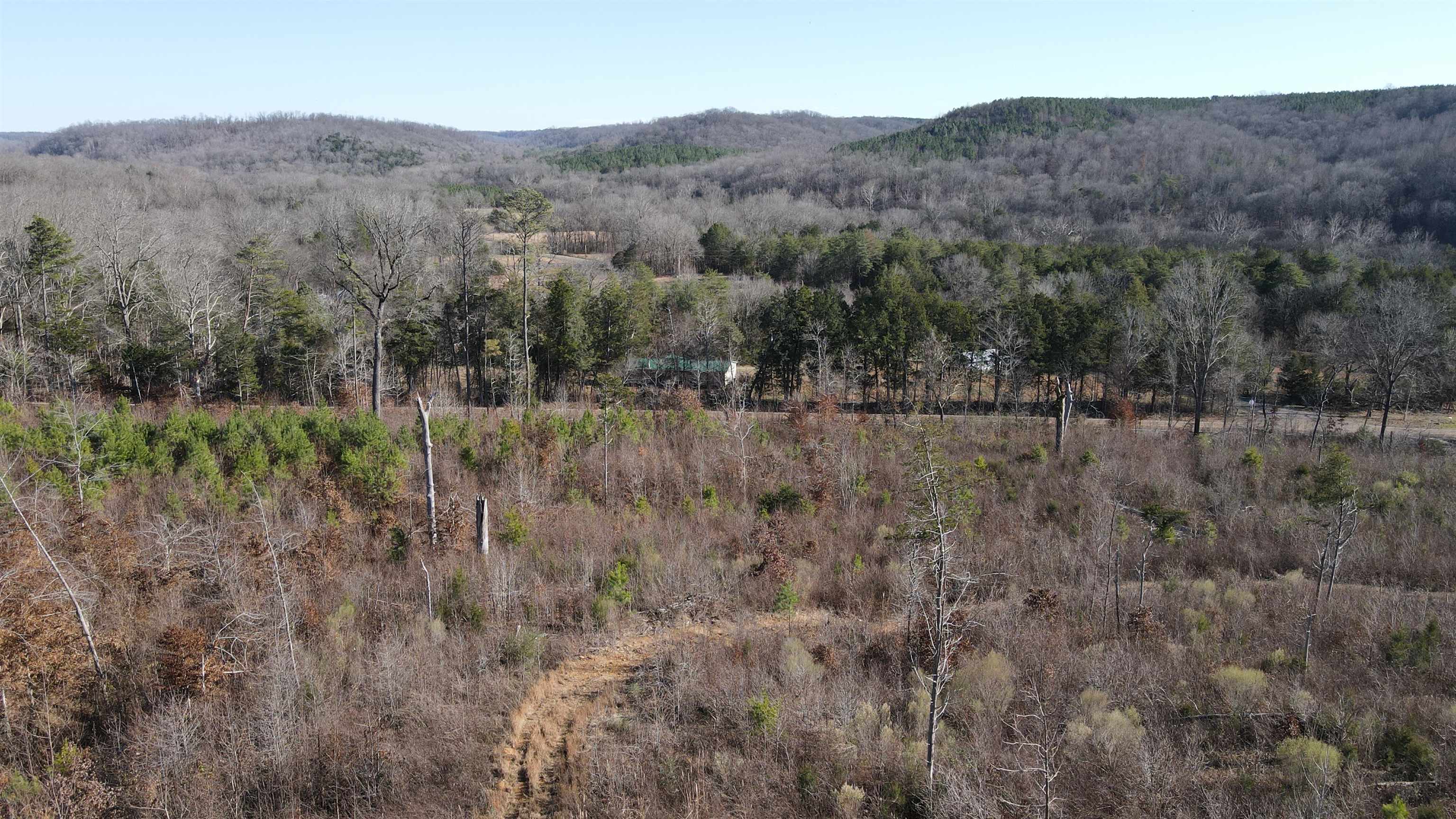 1 Whiteoak Road West Linden, TN 37096 - Photo 24 of 28 View of mountain backdrop featuring a forest