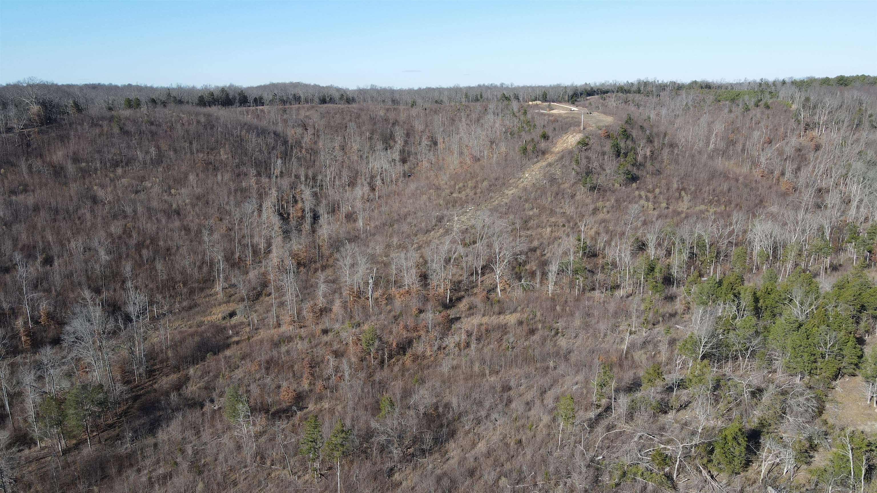 1 Whiteoak Road West Linden, TN 37096 - Photo 26 of 28 View of property location featuring a forest