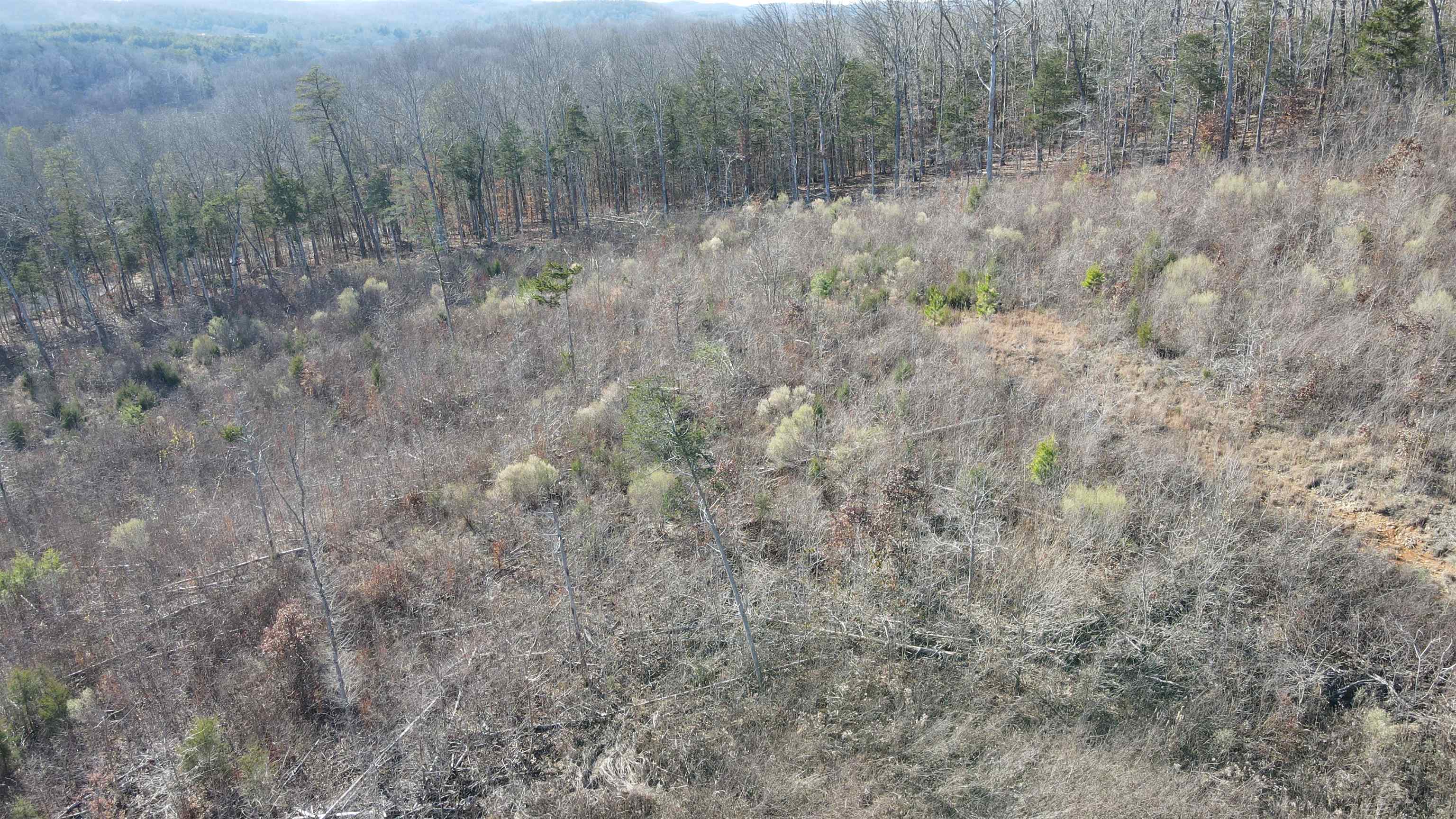 1 Whiteoak Road West Linden, TN 37096 - Photo 28 of 28 Bird's eye view of a heavily wooded area