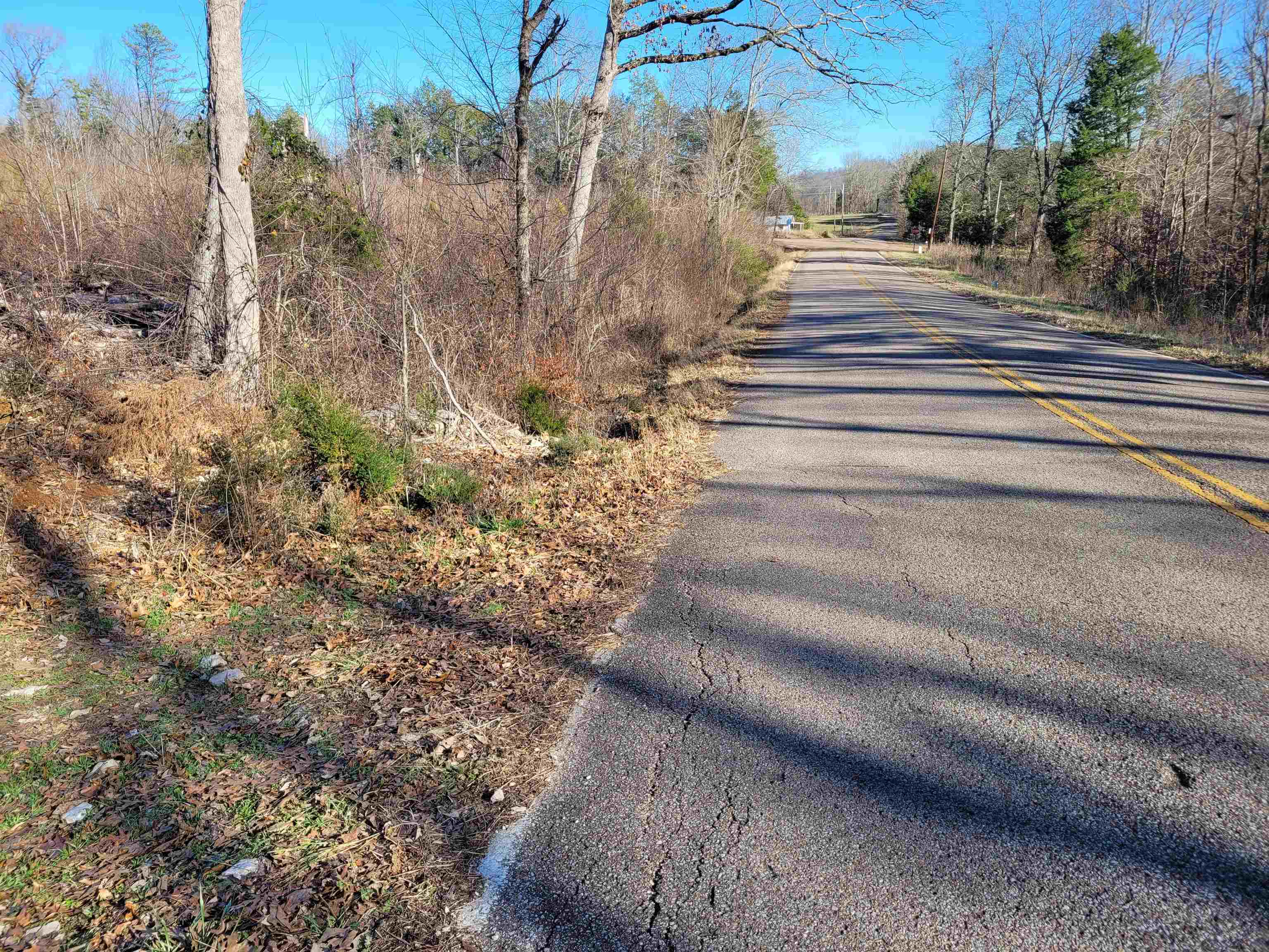 1 Whiteoak Road West Linden, TN 37096 - Photo 5 of 28 View of asphalt street