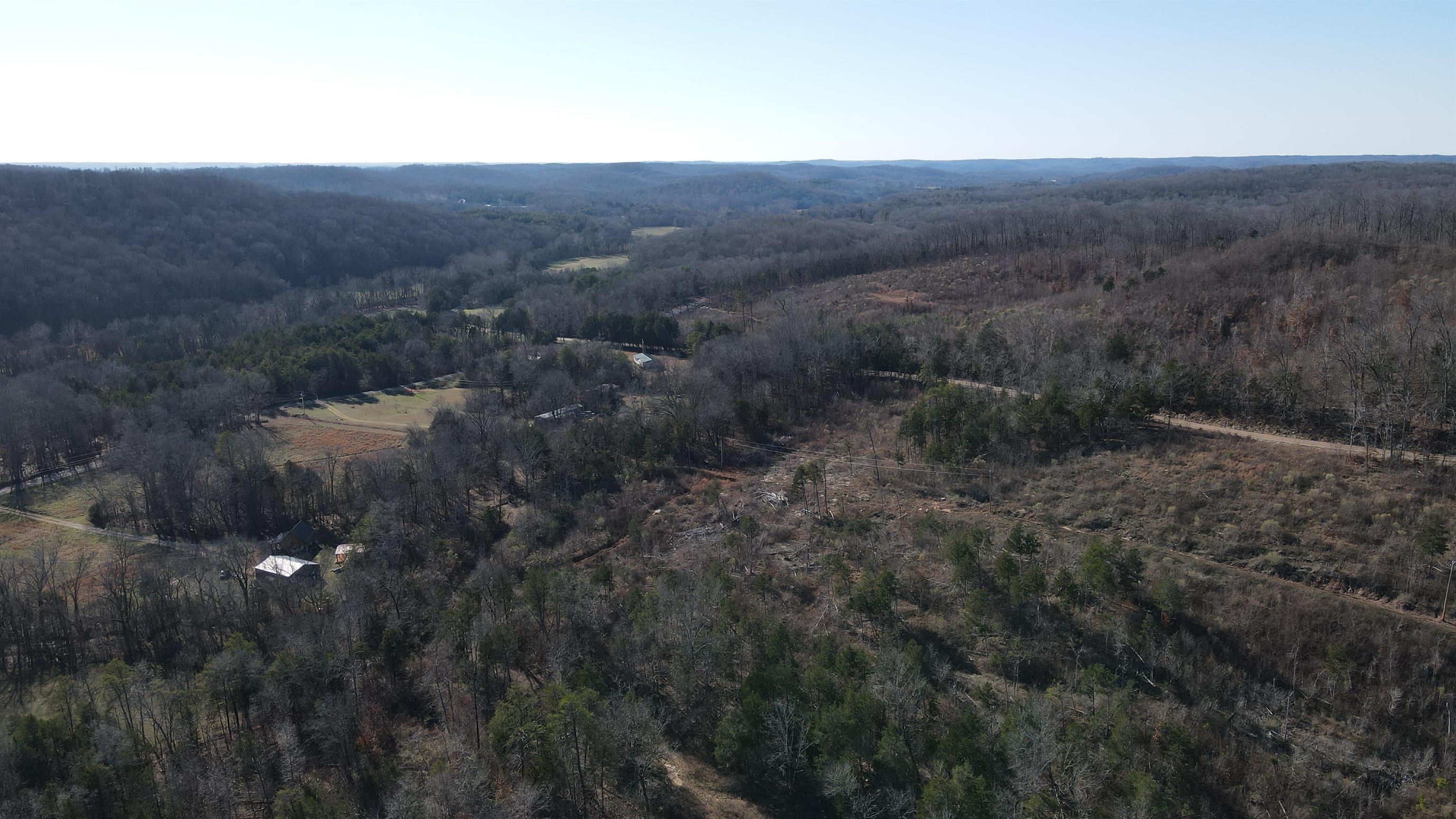 1 Whiteoak Road West Linden, TN 37096 - Photo 9 of 28 Aerial view of property's location with a heavily wooded area