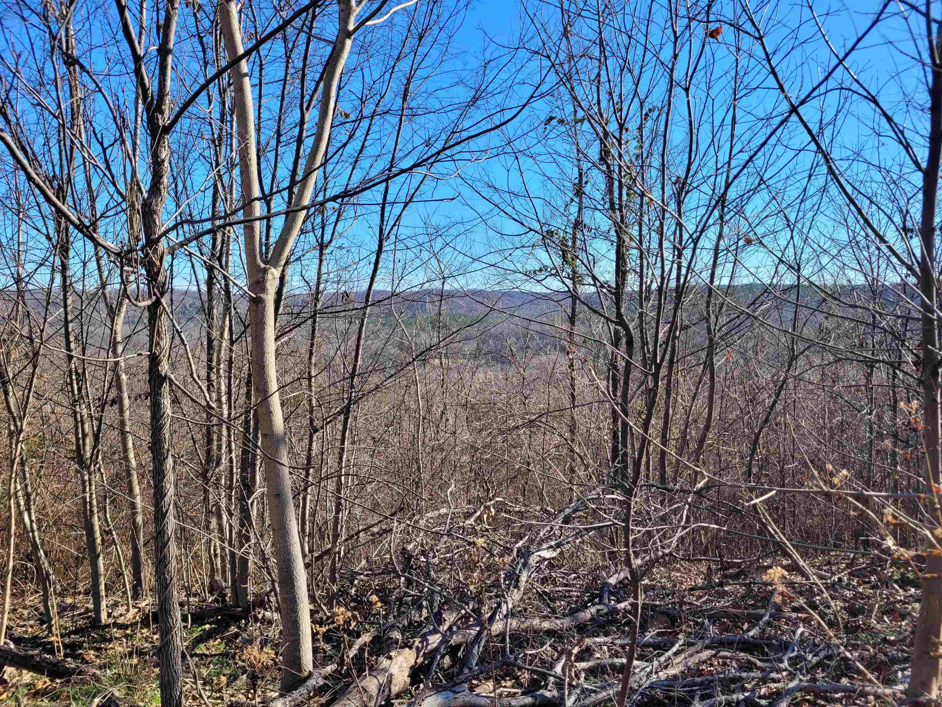 1 Whiteoak Road West Linden, TN 37096 - Photo 9 of 28 View of mountain background