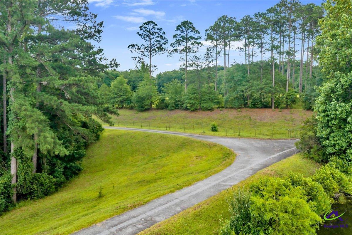 1060 Cooks Mill Road Oglethorpe, GA 31068 - Photo 74 of 100 Gallery Image 74