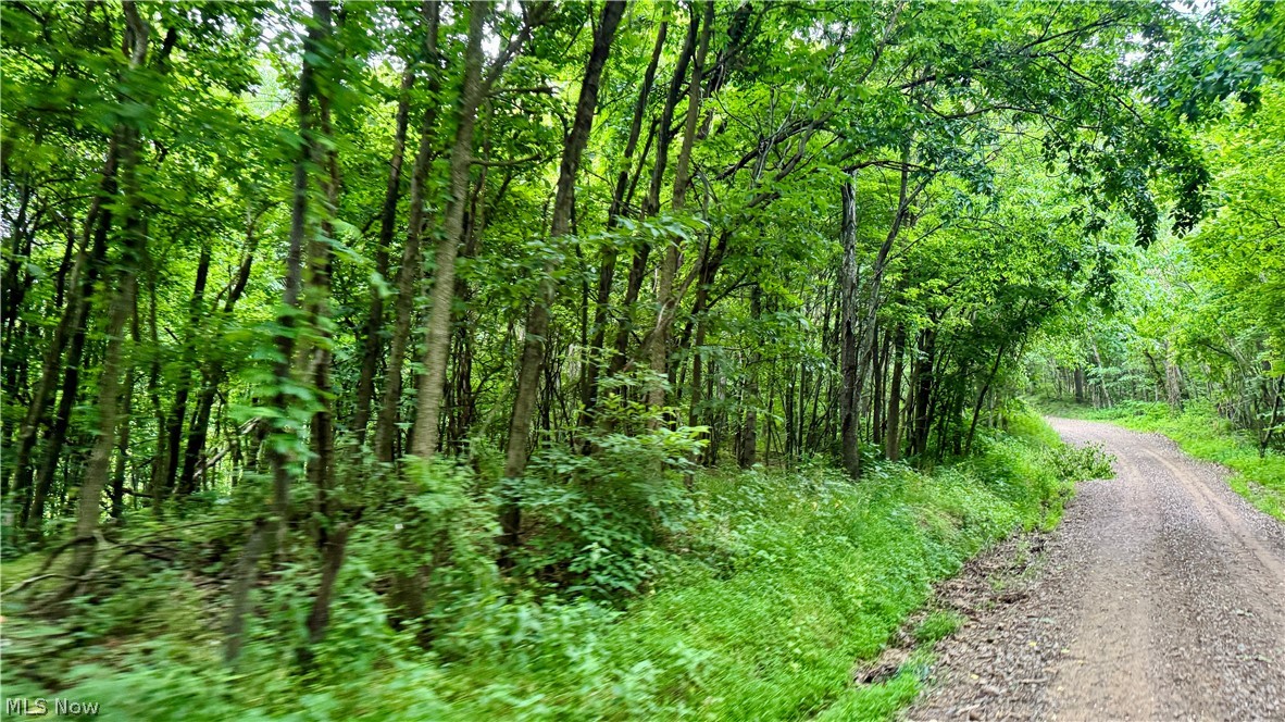 Marlott Run Road Kimbolton, OH 43749 - Photo 24 of 49