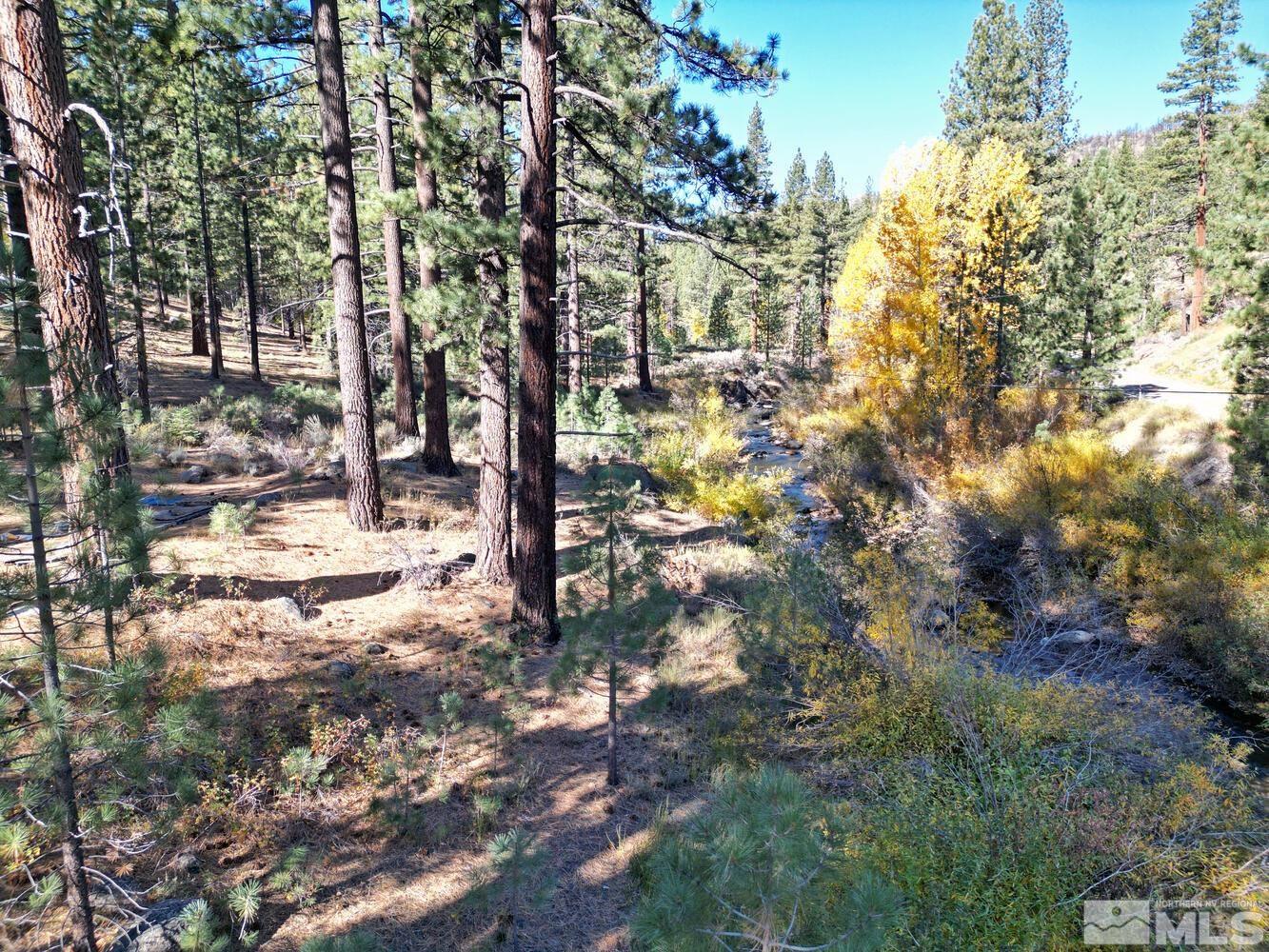 125 Pleasant Valley Road Markleeville, CA 96120 - Photo 36 of 36 a view of a yard with large tree