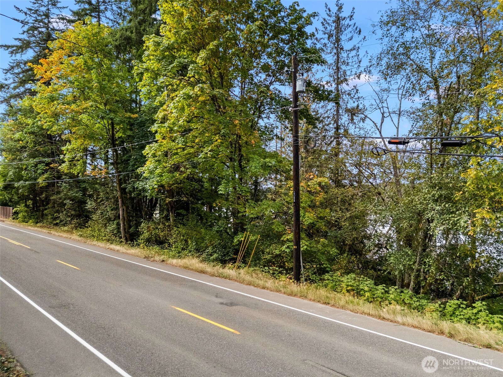 15330 Bethel Burley Road Southeast Burley, WA 98322 - Photo 5 of 12