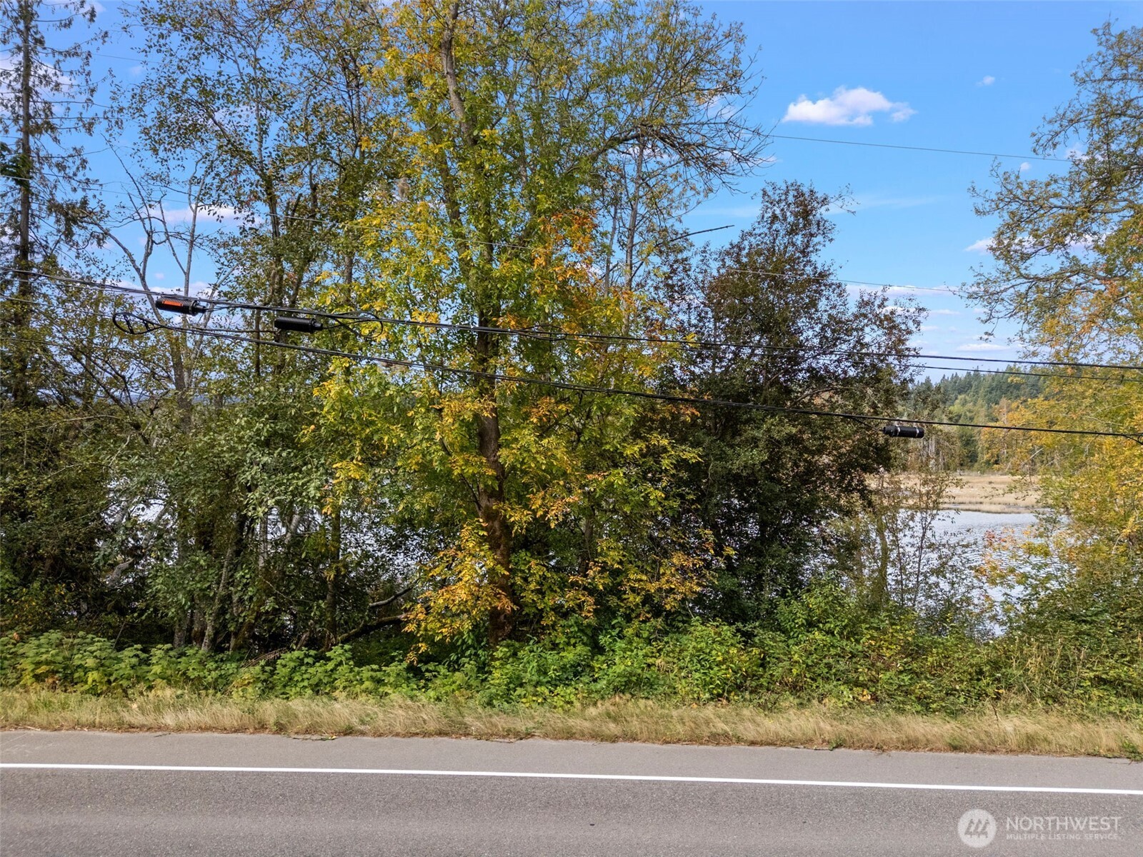 15330 Bethel Burley Road Southeast Burley, WA 98322 - Photo 6 of 12
