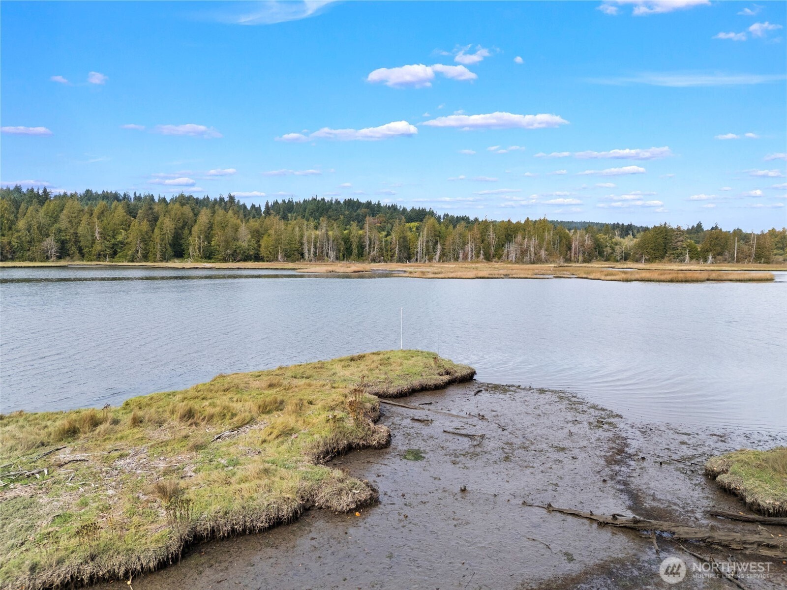 15330 Bethel Burley Road Southeast Burley, WA 98322 - Photo 10 of 12