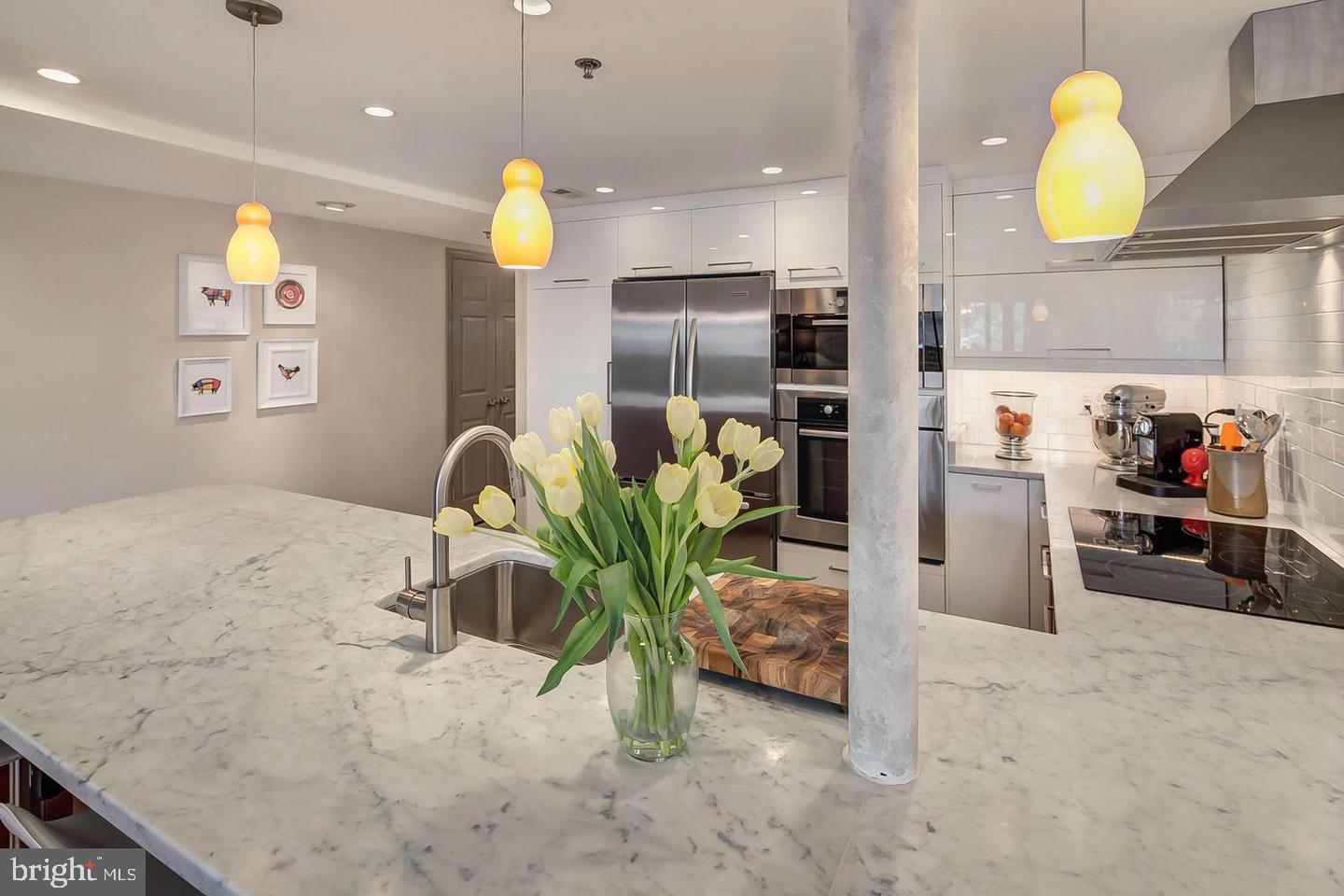 545 East Braddock Road, Unit 101 Alexandria, VA 22314 - Photo 39 of 46 Modern kitchen with elegant marble.