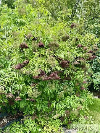 $574,000 | 2 North 3737 East, Rigby, ID 83442