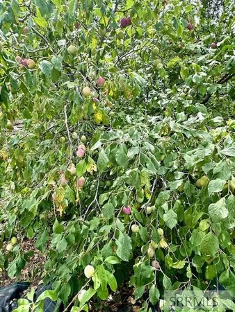 $574,000 | 2 North 3737 East, Rigby, ID 83442