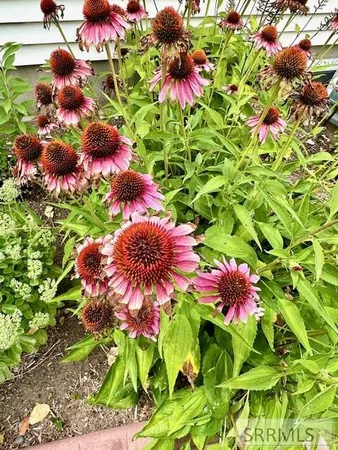 $574,000 | 2 North 3737 East, Rigby, ID 83442