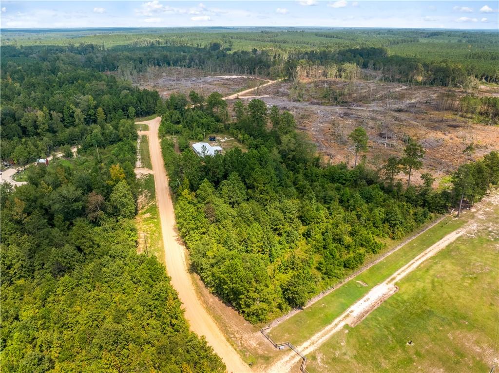 258 Avant Road Atlanta, LA 71404 - Photo 46 of 54