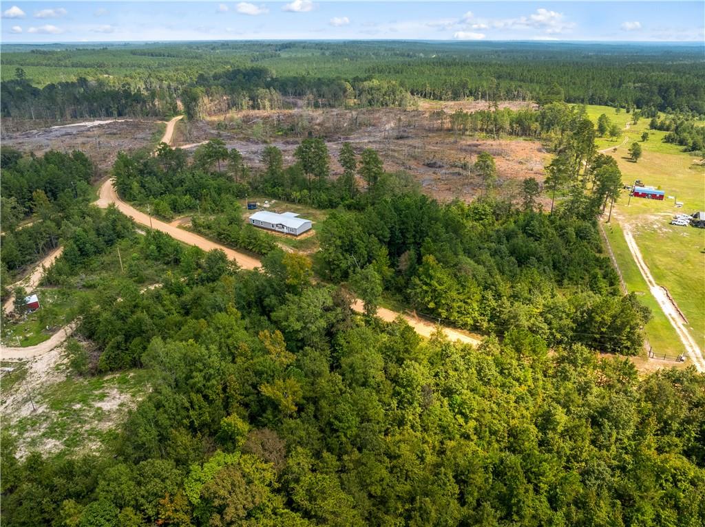 258 Avant Road Atlanta, LA 71404 - Photo 47 of 54