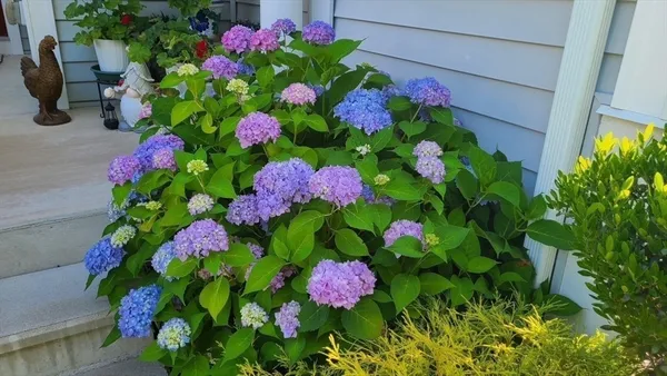 $945,000 | 35 Greenside Lane, Unit 35, Acton, MA 01720