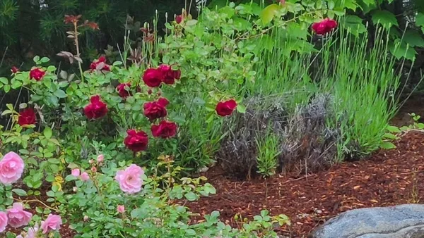 $945,000 | 35 Greenside Lane, Unit 35, Acton, MA 01720