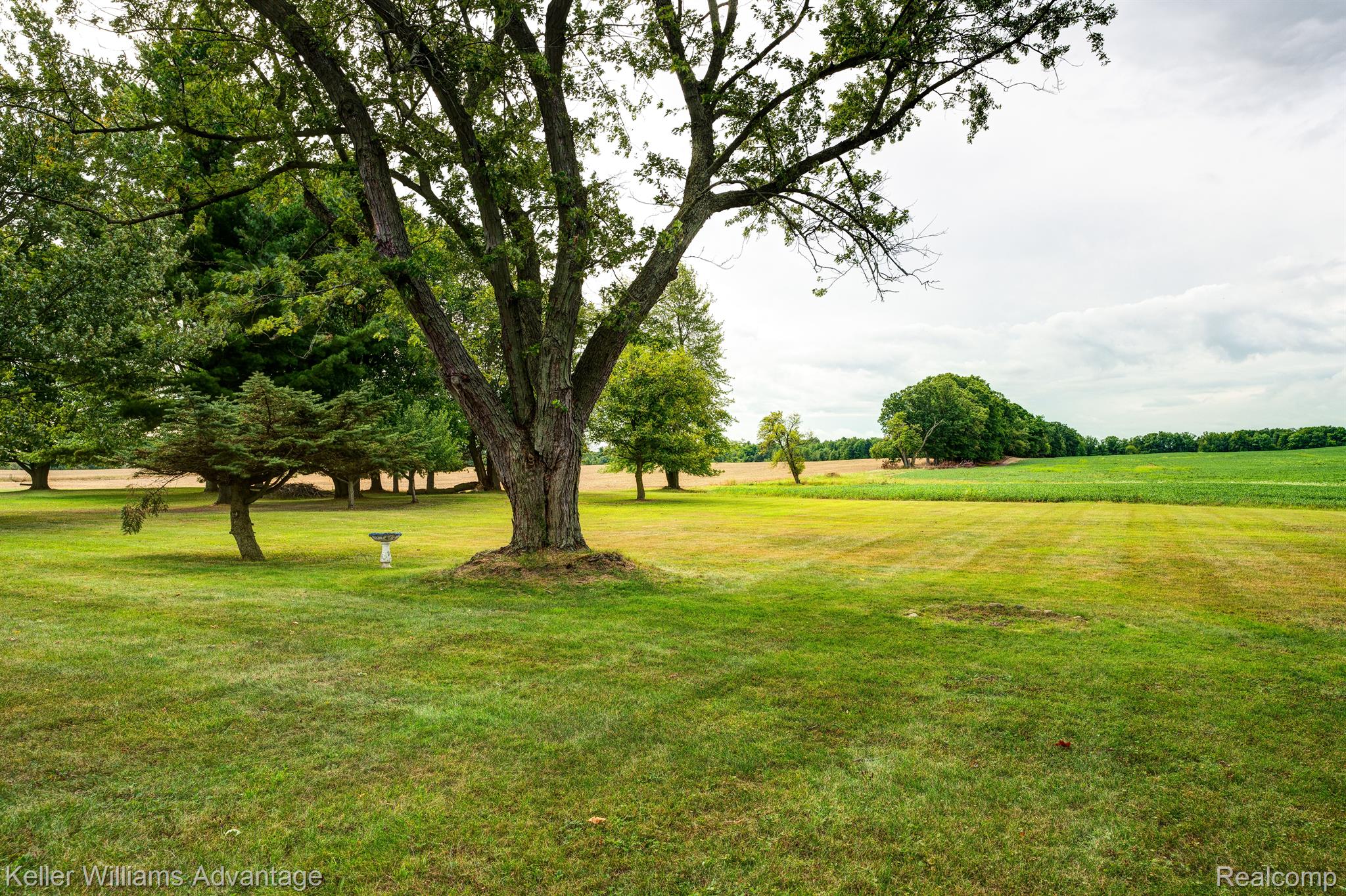 14627 Foley Road Capac, MI 48014 - Photo 23 of 27 Gallery Image 23