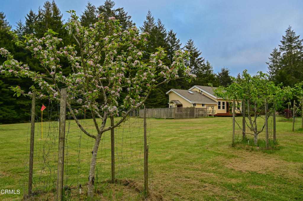 32741 Albion Ridge Road Albion, CA 95410 - Photo 1 of 1 32741 Albion Ridge Road