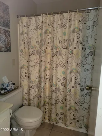a white toilet sitting next to a shower curtain