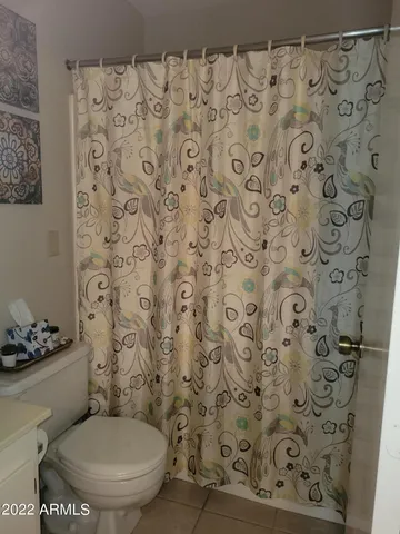 a white toilet sitting next to a shower curtain