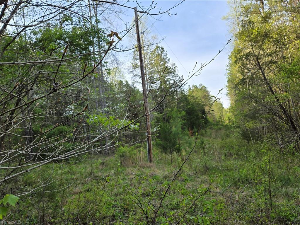 0 Hoover Hill Road Asheboro, NC 27205 - Photo 16 of 29