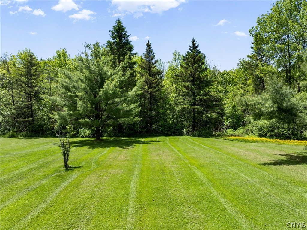 178 Brown Road Schuyler, NY 13502 - Photo 24 of 45