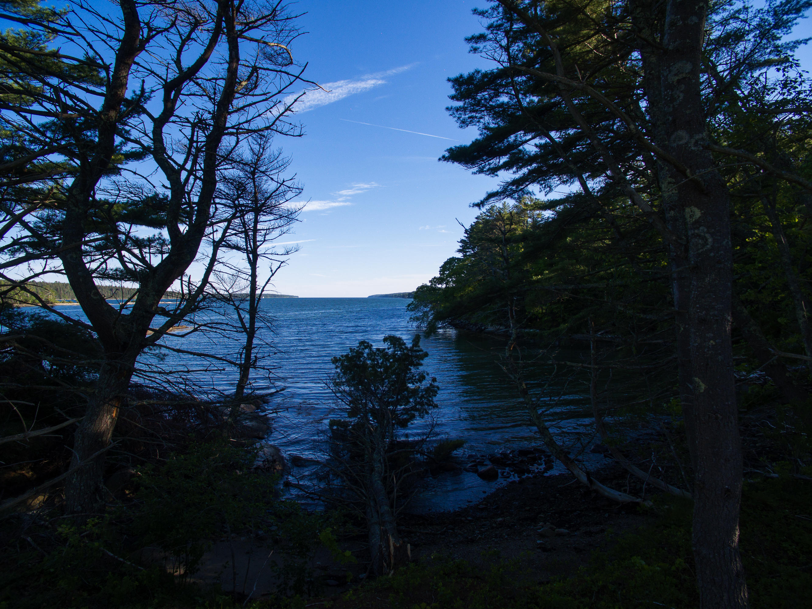 276 Shore Road Bremen, ME 04551 - Photo 36 of 45 60-276ShoreRd_SBS-