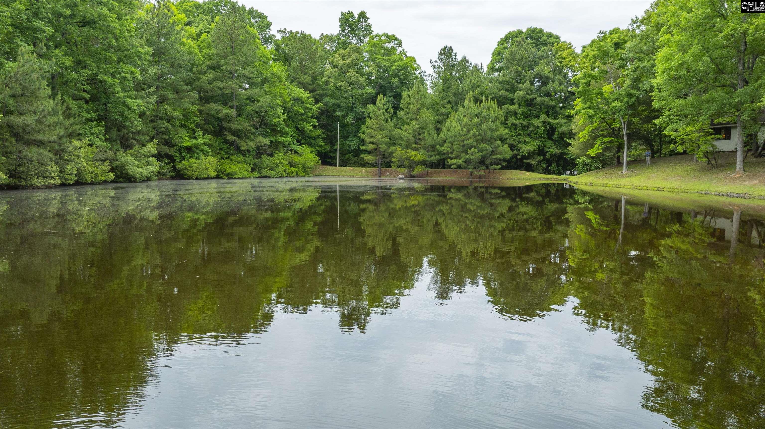 150 Four Foxes Lane Chapin, SC 29036 - Photo 20 of 82