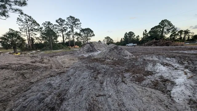 a view of a dry yard with trees