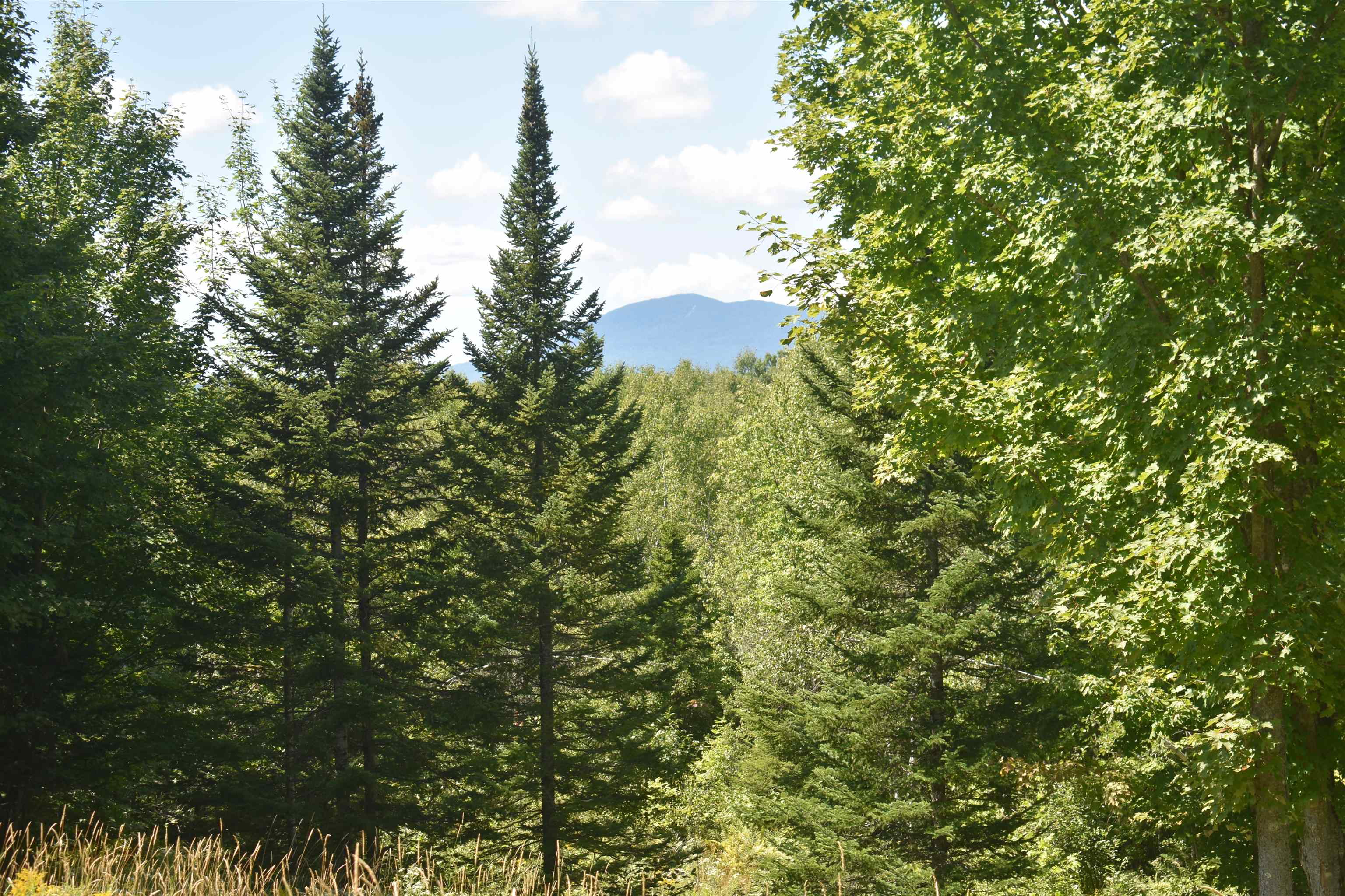 1982 Robtoy Road Lowell, VT 05847 - Photo 46 of 50