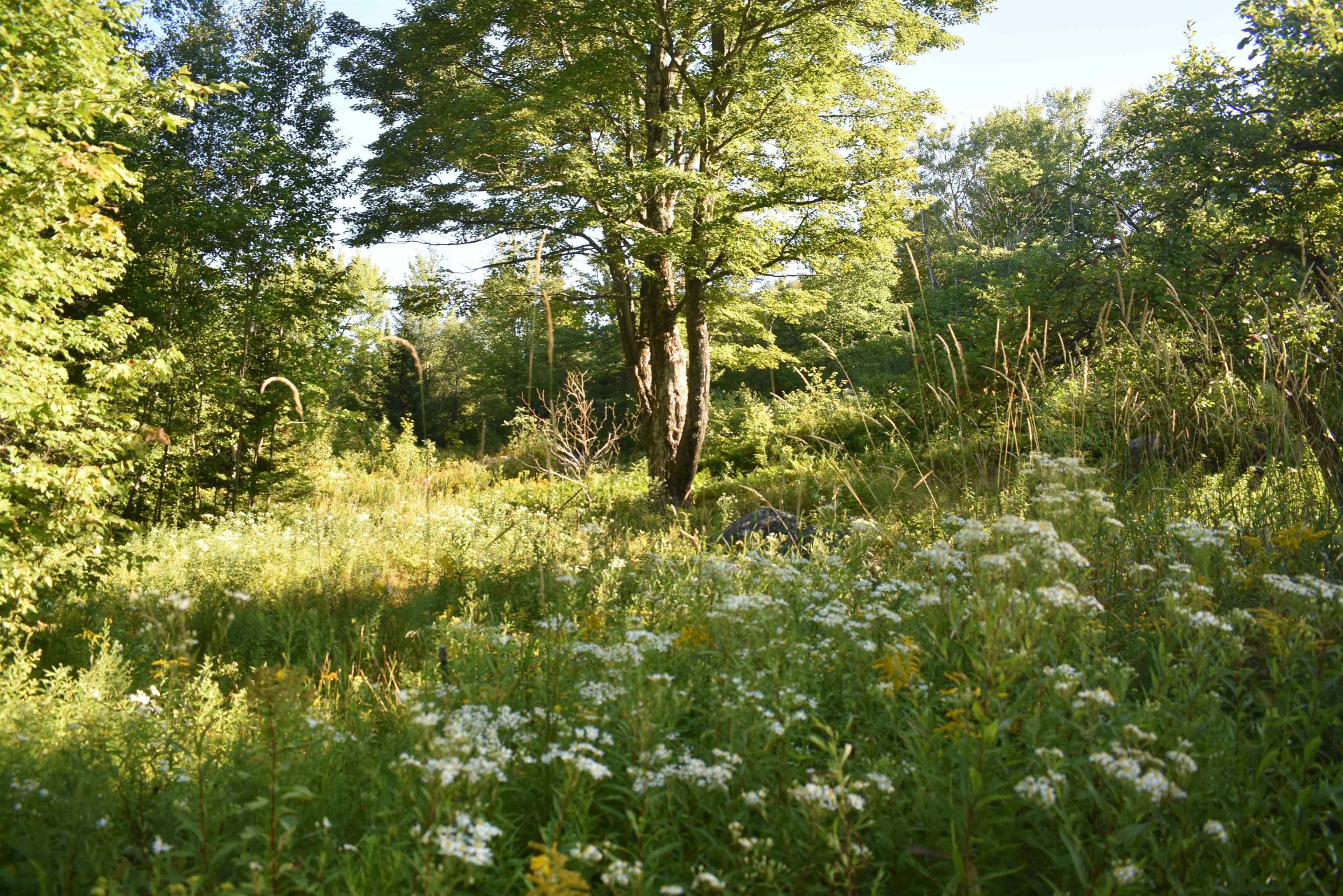 1982 Robtoy Road Lowell, VT 05847 - Photo 47 of 50