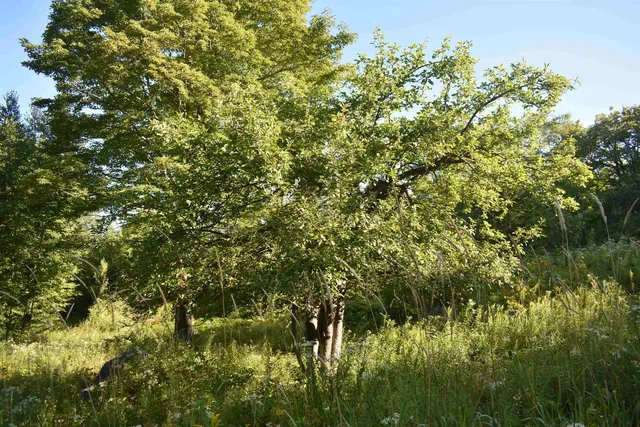 $595,000 | 1982 Robtoy Road, Lowell, VT 05847