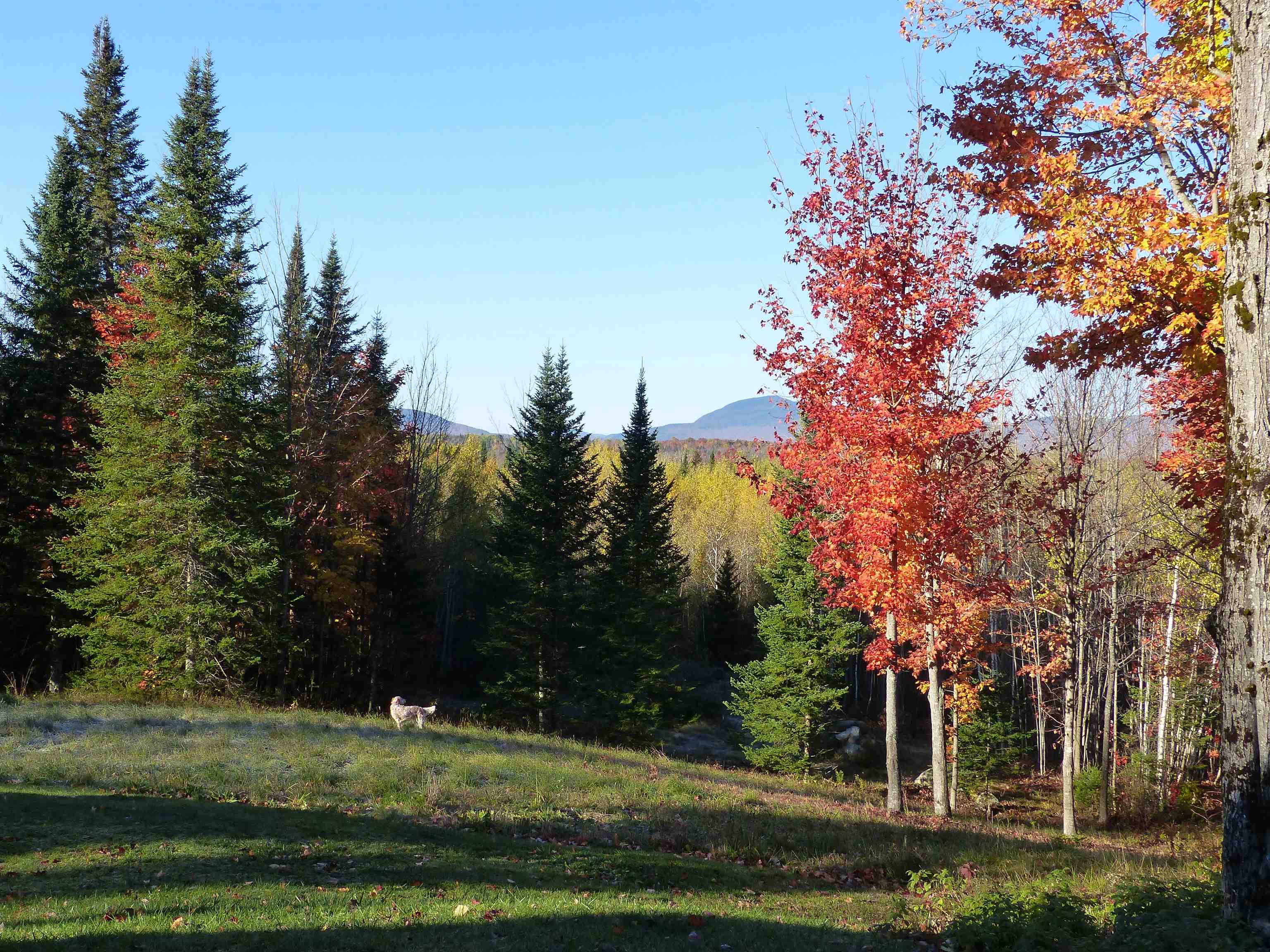 1982 Robtoy Road Lowell, VT 05847 - Photo 49 of 50