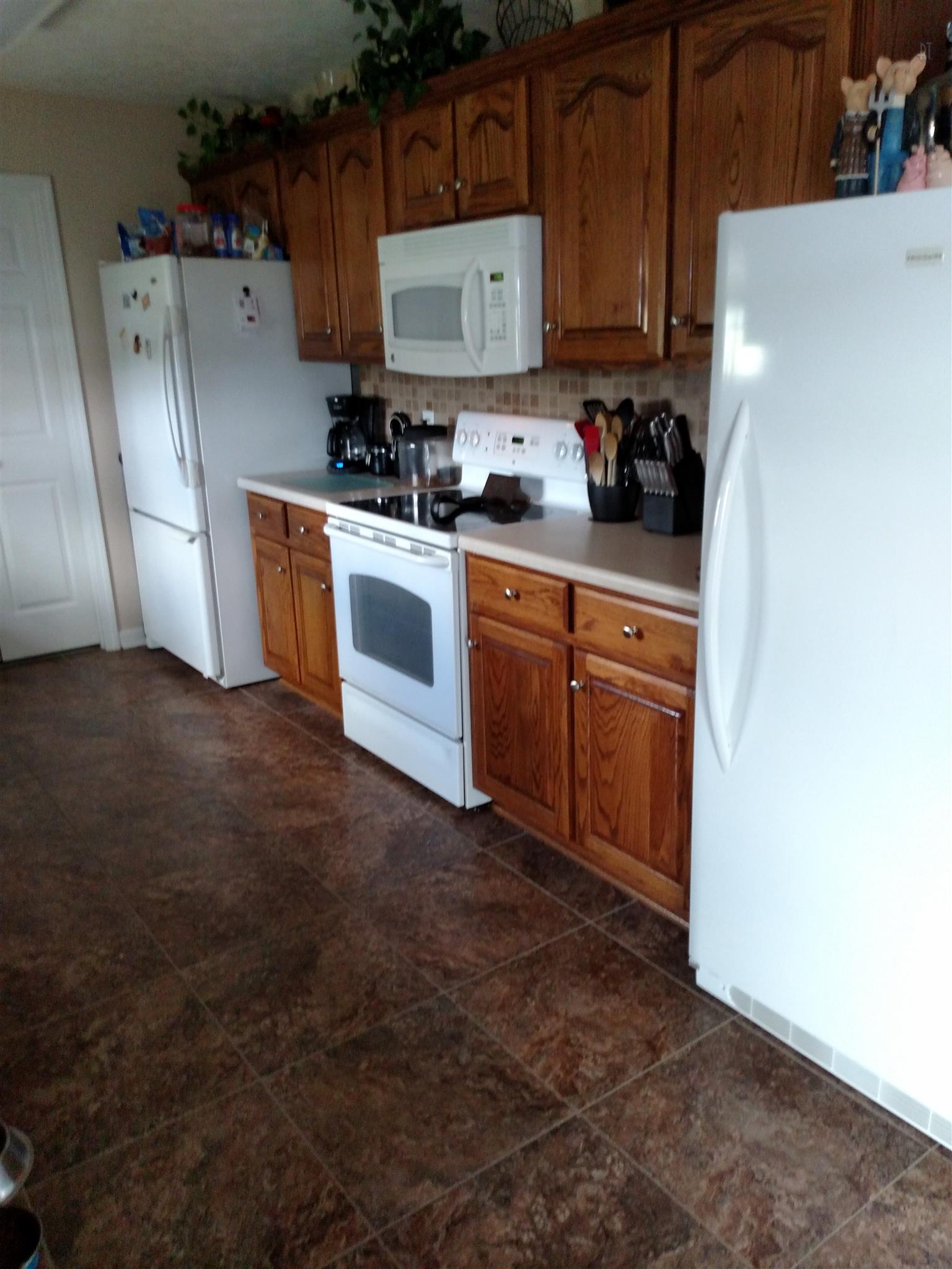 1017 Mt Vernon Road Bethpage, TN 37022 - Photo 5 of 21 Kitchen