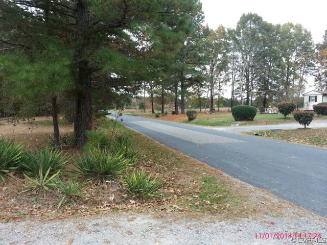 258 Raines Tavern Road Farmville, VA 23901 - Photo 2 of 13 a view of a yard with plants and trees