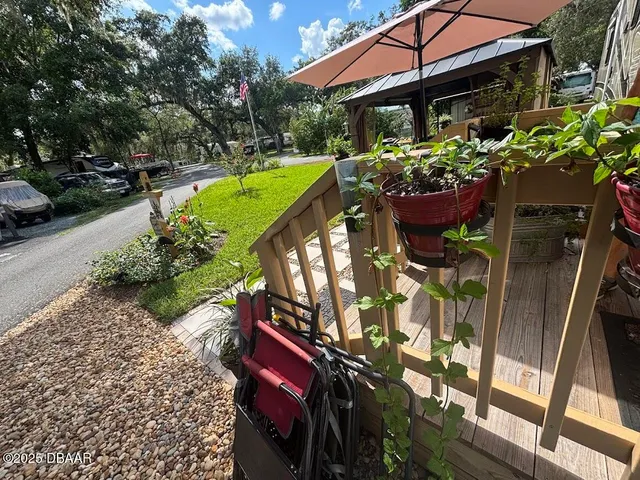 a view of a yard with plants and trees
