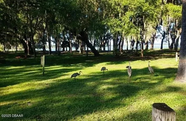 $68,000 | 25219 143rd (lot 150) Place, Salt Springs, FL 32134