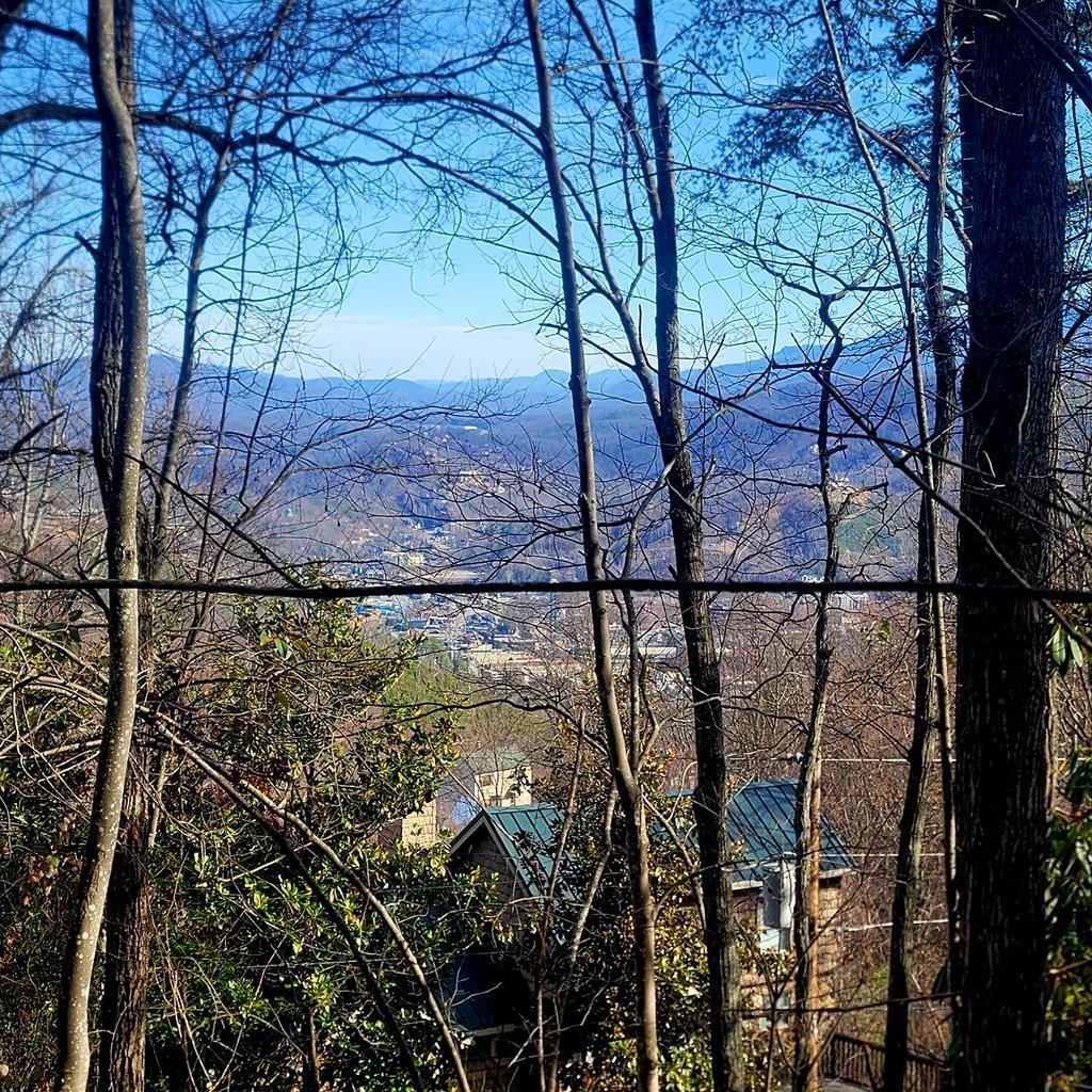 17 Zurich Road Gatlinburg, TN 37738 - Photo 1 of 24