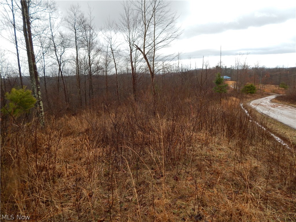 10 Tunnel Ridge Road Pennsboro, WV 26415 - Photo 2 of 8