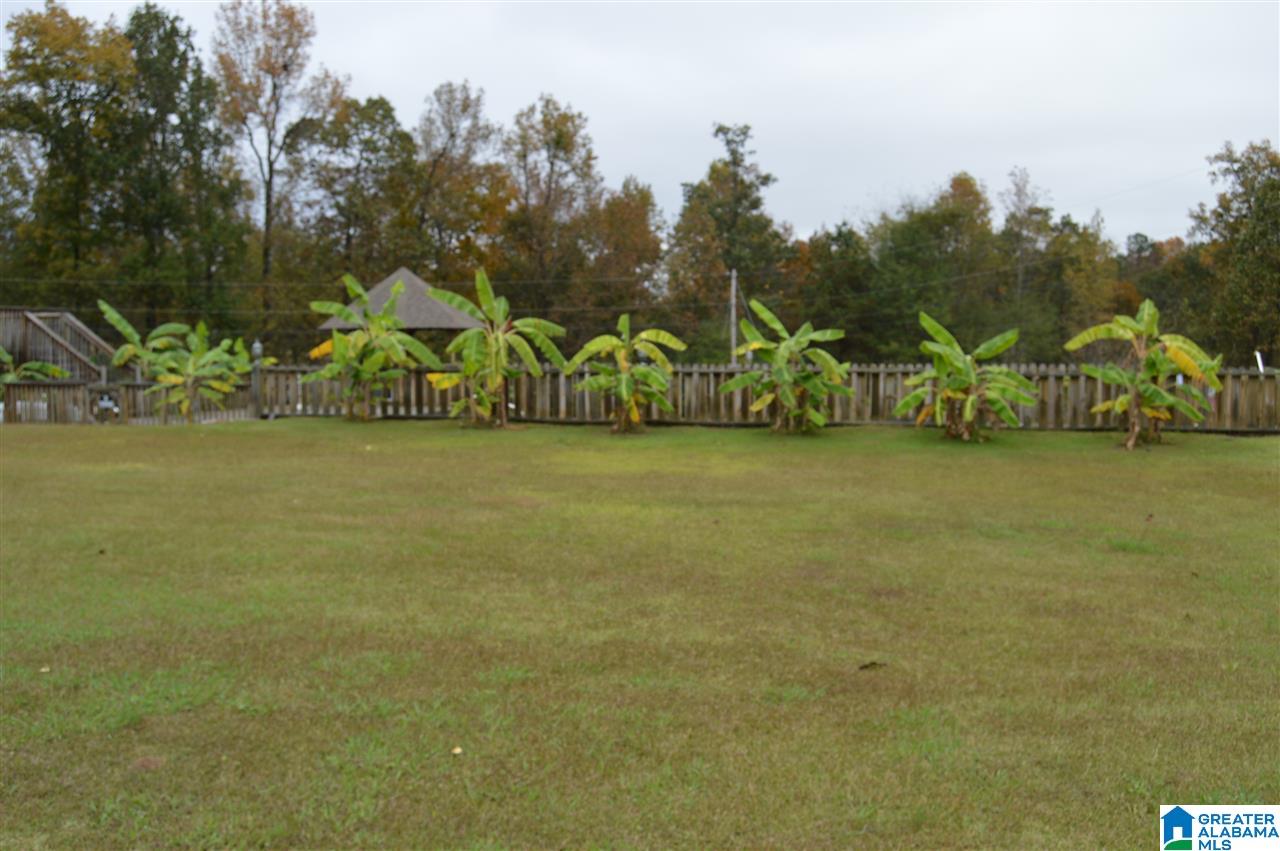 9725 Trammel Road Dora, AL 35062 - Photo 46 of 50