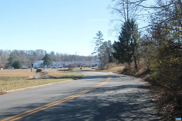 a view of a yard with large trees