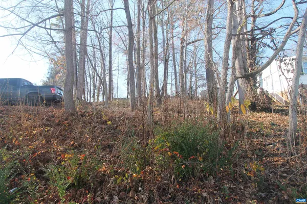 a view of backyard with large trees