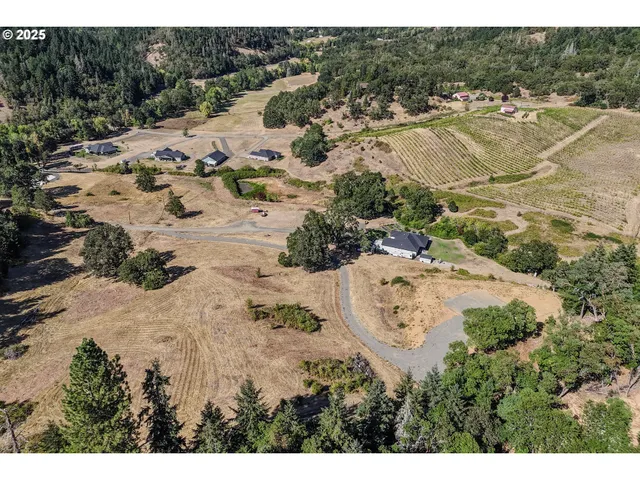 a view of a beach with a mountain view