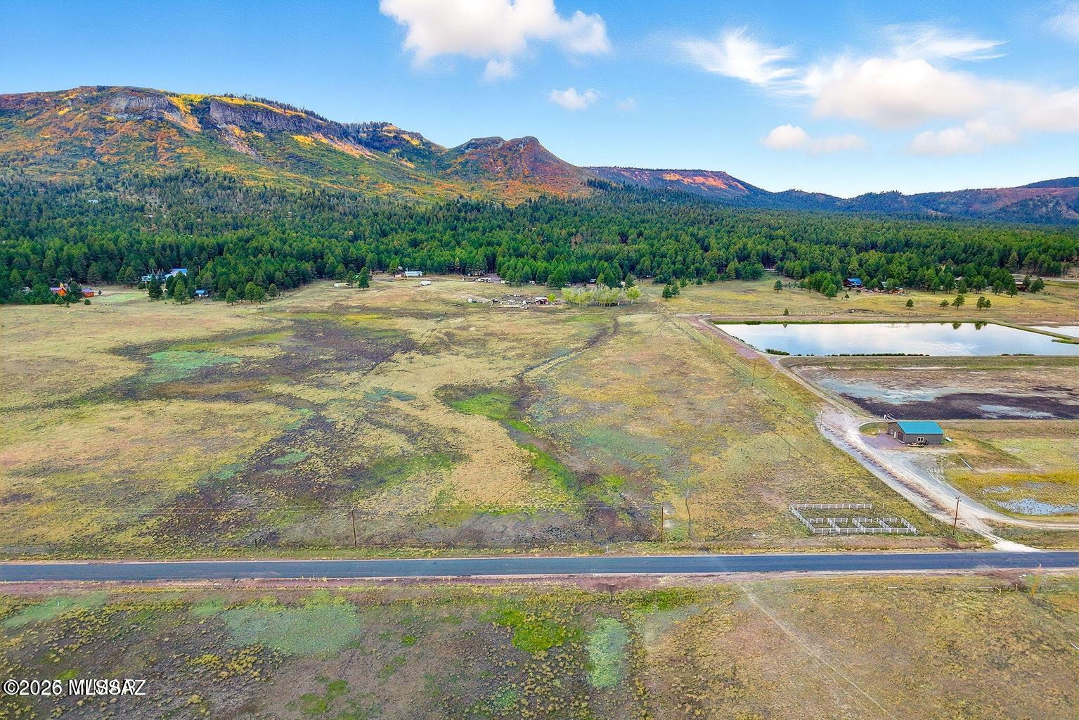 Tbd Tbd Alpine Unsubdivided Alpine, AZ 85920 - Photo 6 of 16 6